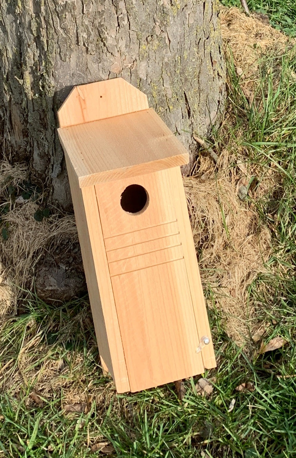 Blue Bird Box