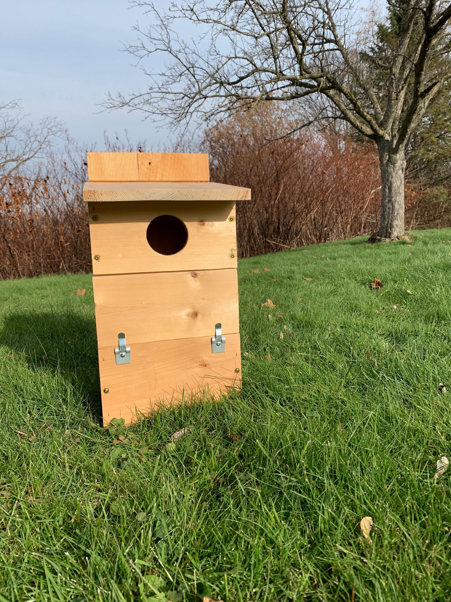 Screech Owl/Kestrel Box