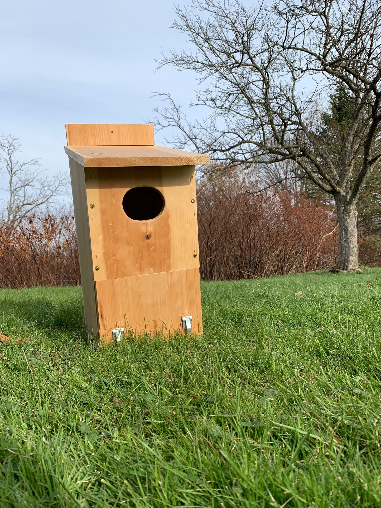 Wood Duck Box